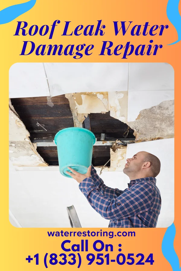 Roof Leak Water Damage Repair in Burton, IL