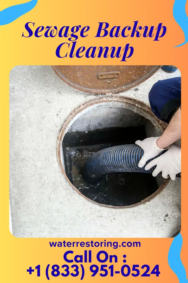 Sewage Backup Cleanup in Burton, IL