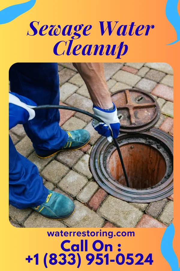 Sewage Water Cleanup in Burton, IL